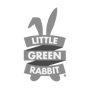 little green rabbit.png